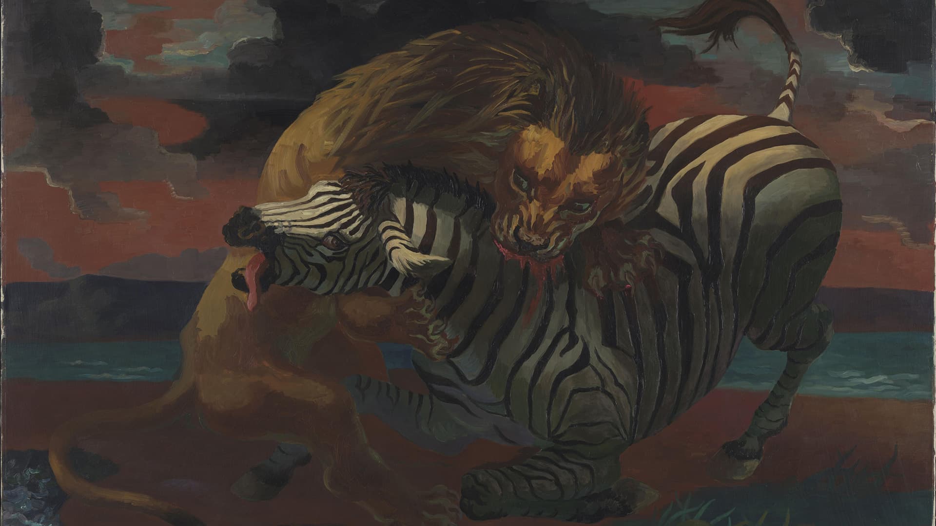 Lion and Zebra – Borchgrevink